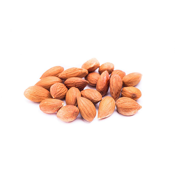 Apricot Kernels