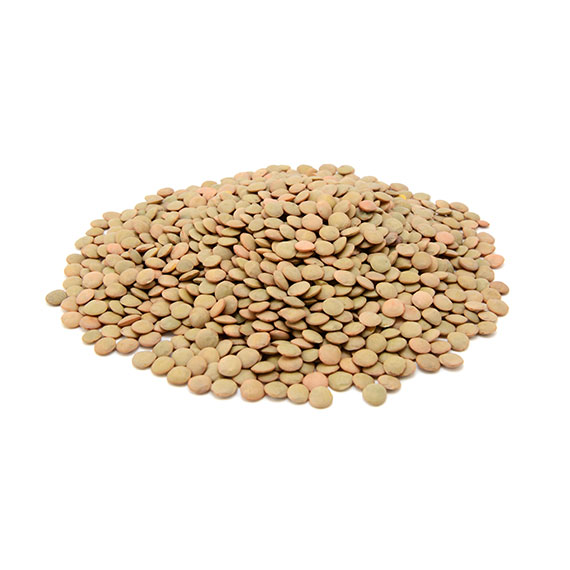 Green Lentils